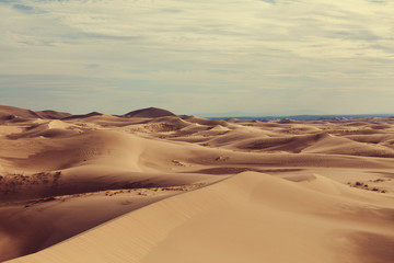 Obraz na płótnie Canvas Gobi desert