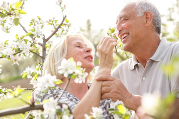 Senior couple enjoying a moment in their blossoming garden.