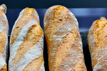 French bread baguettes on a dark blue background.