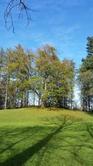 Langer Baumschatten in Herbstlandschaft