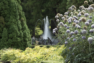 Parco di Villa Taranto, Verbania