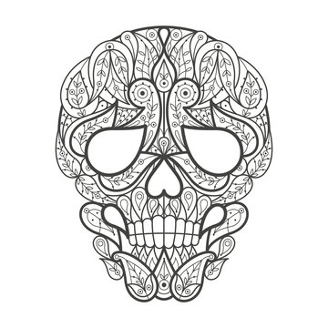 Adult coloring. Human skull.