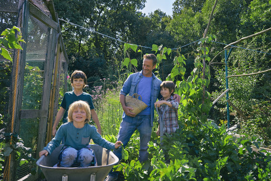 Man and three boys riding in wheelbarrow on allotment