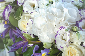 Beautiful blue iris flower, lush leaves, white hydrangea, delicate cream roses with bright background. Summer concept. Copy space, text here