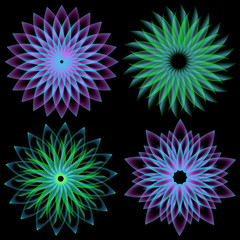 spirograph on black