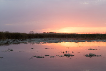 beautiful sunrise of the sun on the lake