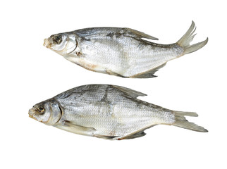 Dried fish on a white background