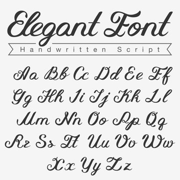 Elegant Handwritten Calligraphy Script Font design vector