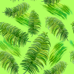 Watercolor drawing of spring fern. Hand drawn painting of beautiful plant. vascular plant. Seamless pattern. Dicksonia antarctica, Monilophytes, pteridophytes. Kingdom Plantae, Subkingdom Embryophyta