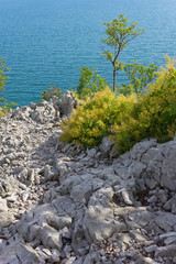 Adriatic Sea View on the Trieste Coastline, Italy