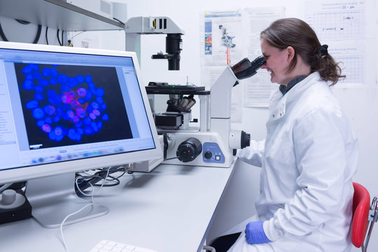 Cancer research laboratory, female scientist studying cells under electronic microscope
