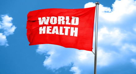 world health, 3D rendering, a red waving flag
