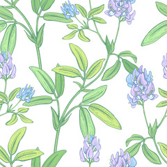 Seamless vector floral pattern.
