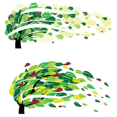 vector illustration of different trees