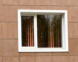 a window in the building as the background