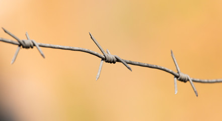 Fototapeta na wymiar barbed wire as a background