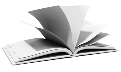 3d blank book with browsing pages