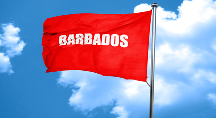 barbados, 3D rendering, a red waving flag