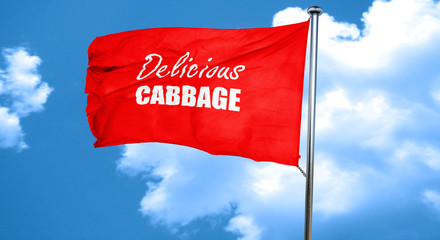 Delicious cabbage sign, 3D rendering, a red waving flag