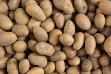 Fototapeta na wymiar group of fresh potato