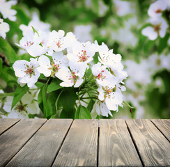 Empty wooden table and  blurred blooming tree on background