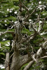 beautiful and different plants