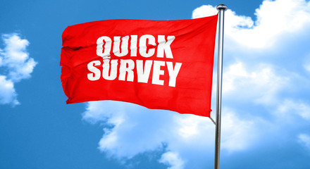 quick survey, 3D rendering, a red waving flag