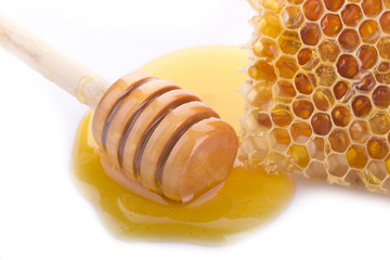 honeycomb and honey isolated