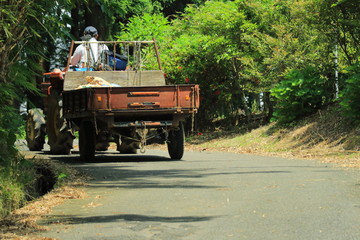 Obraz premium 農業 山道を走るトラクター
