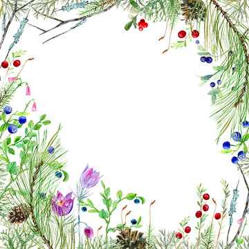 Frame With Berry, Coniferous Branch,pinecone,moss, Mushrooms,snowdrop,lichen.Forest Image.Watercolor Hand Drawn Illustration.