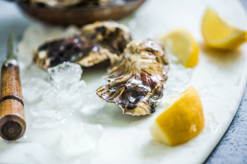 whole oyters in slate table with ice and lemon
