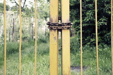 metal chain on the gate. vintage retro old concept 