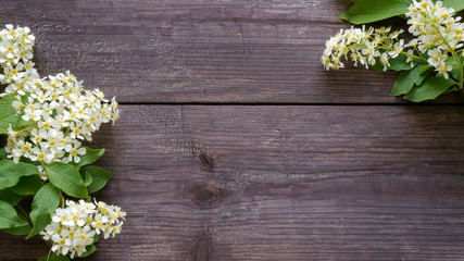 Cherry flowers on dark wood background. Top view
