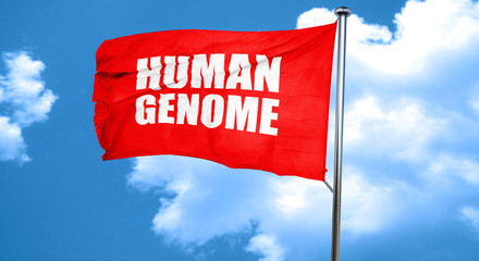 human genome, 3D rendering, a red waving flag