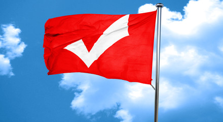 Approved tick with smooth lines, 3D rendering, a red waving flag