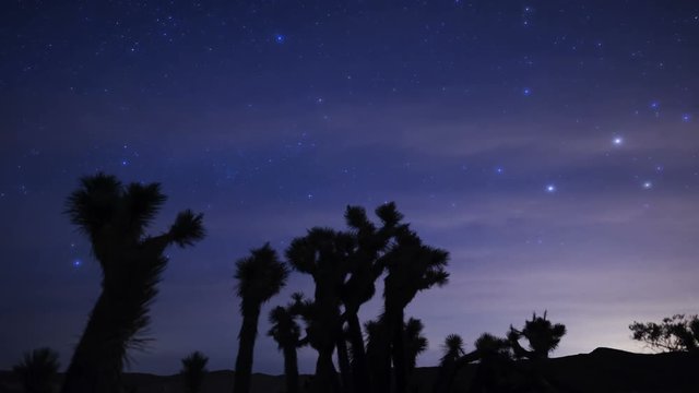 Milky Way Galaxy Joshua Trees 02 Time Lapse Mojave Desert California