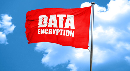 data encryption, 3D rendering, a red waving flag