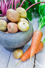 Still life of of vegetable Root crop