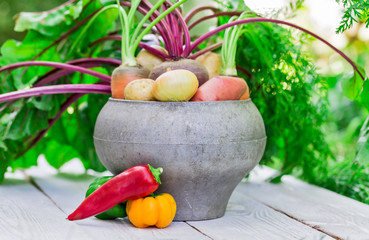 Still life of of vegetable Root crop