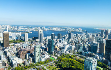 The full viw of Tokyo city in the summer