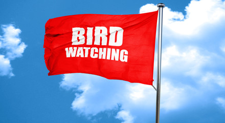 bird watching, 3D rendering, a red waving flag