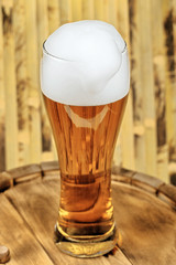beer glass of beer