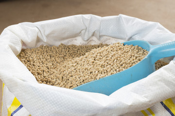 animal feed
