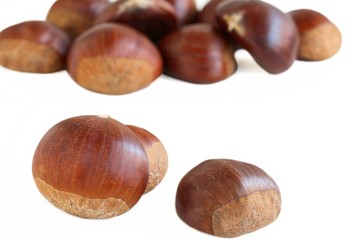 Chestnuts on White Background