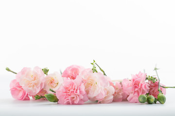Obraz na płótnie Canvas Mothers day ,blooming carnation flowers