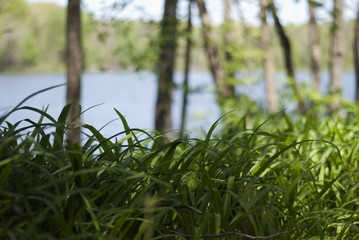 Hiking along some State Park Trails
