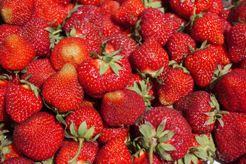 strawberry background