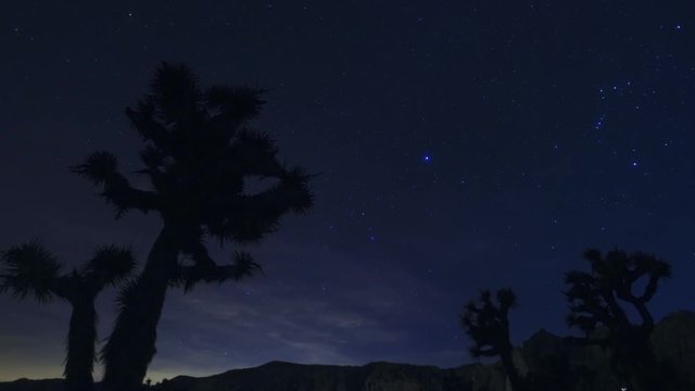 Milky Way Galaxy Joshua Trees 01 Time Lapse Mojave Desert California Dolly