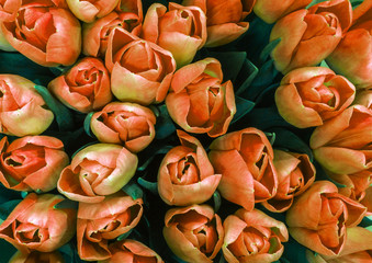 Holiday Bouquet, spring flowers, orange tulips.