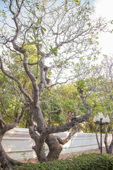 Garden Design: Garden & Landscape Design
